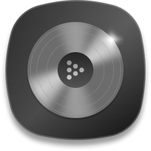 Silver Record